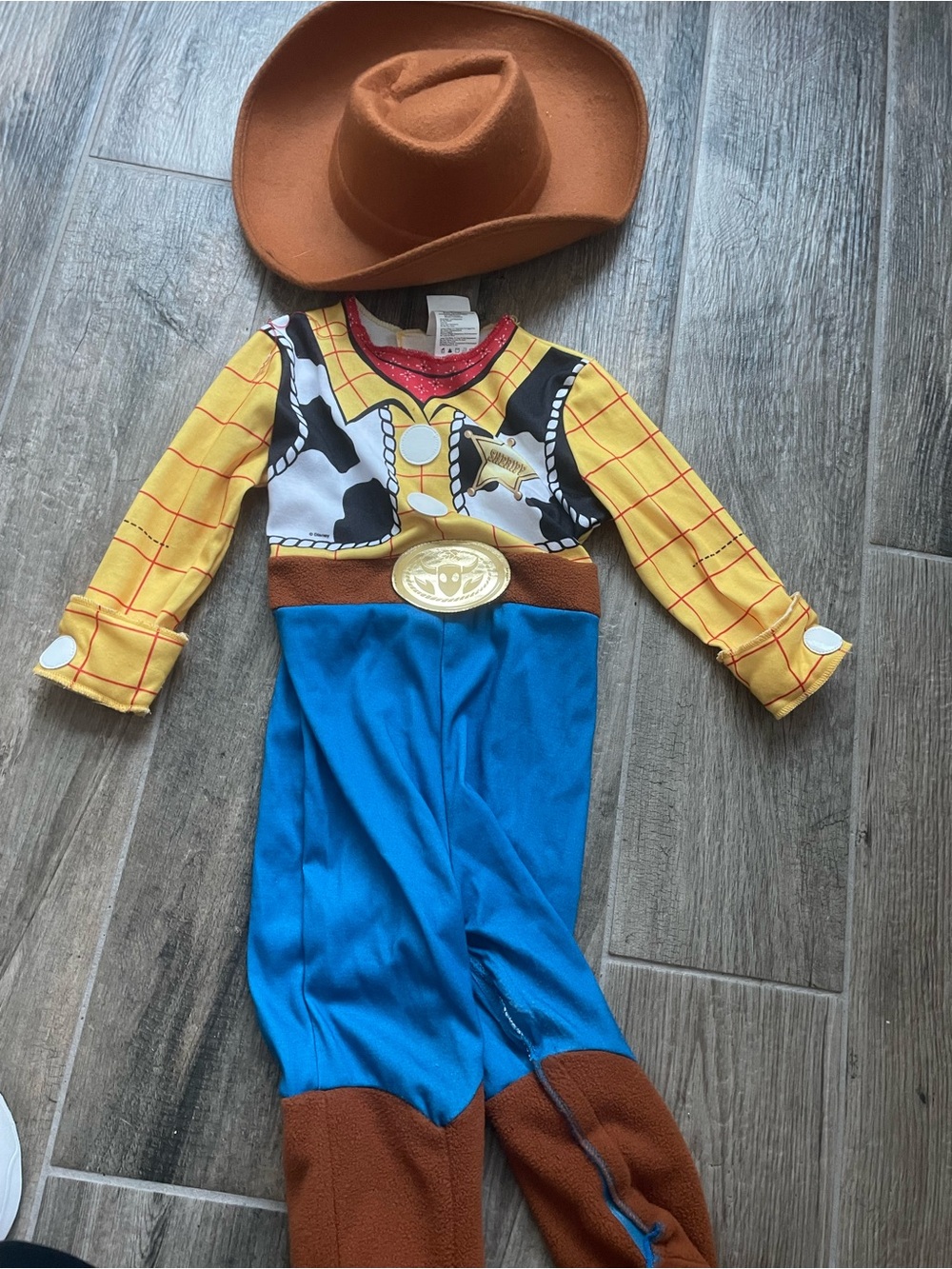Disney Woody Cowboy Costume in Yellow, Blue & Brown